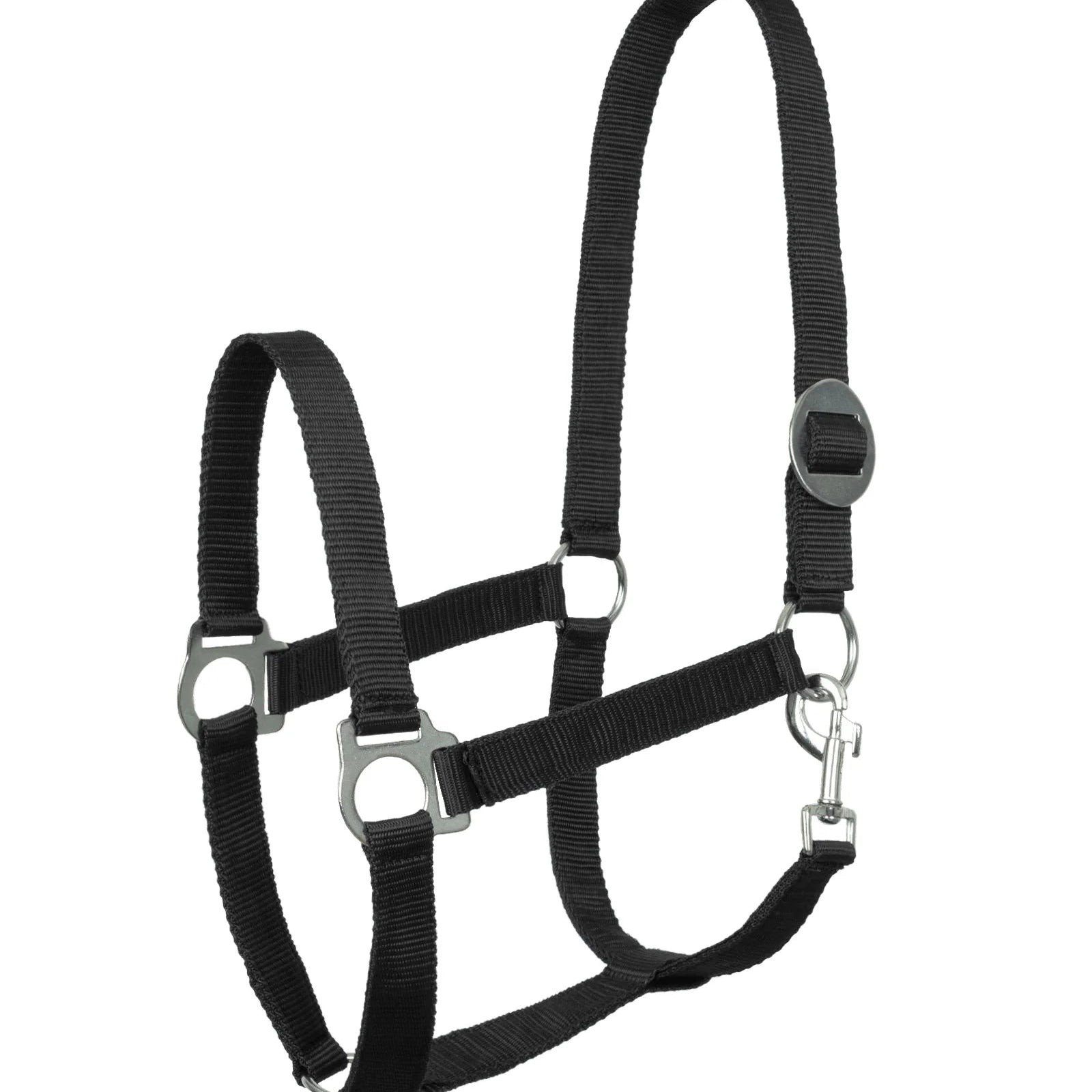 Horze Basic halter