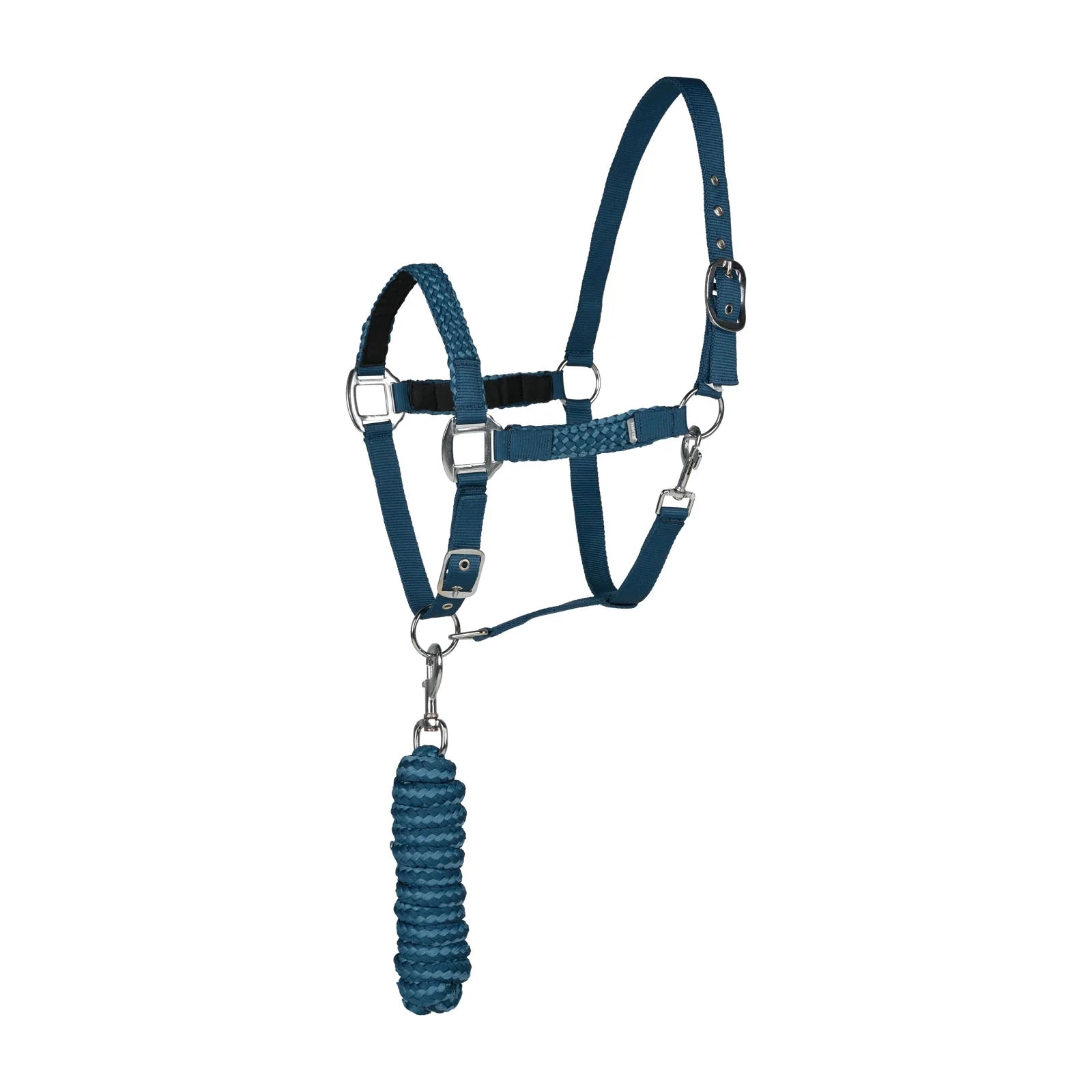 Chicago halter and lead set