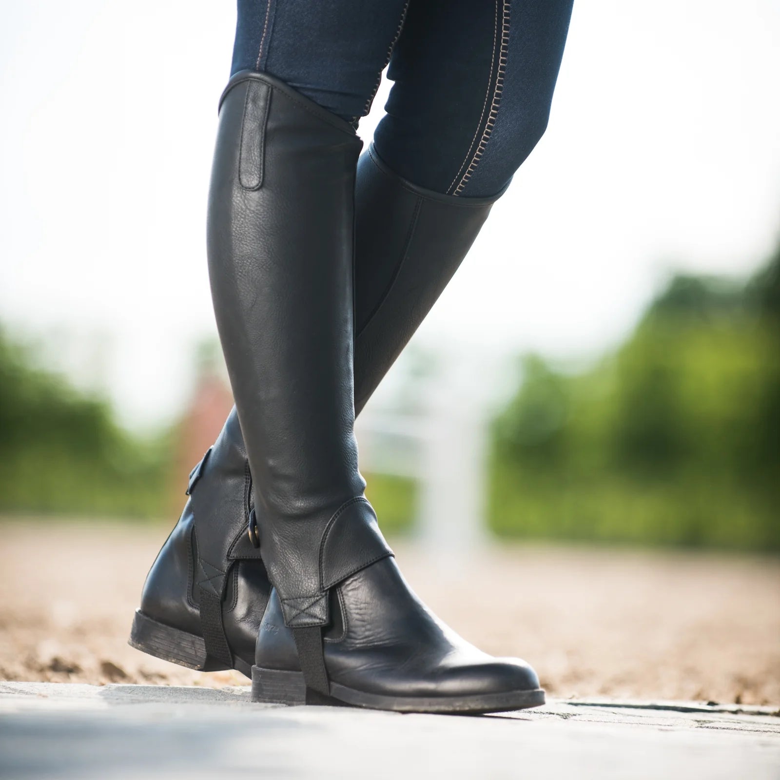 Horze Desta Synthetic Leather Chaps, black