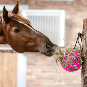 Waldhausen, hay ball