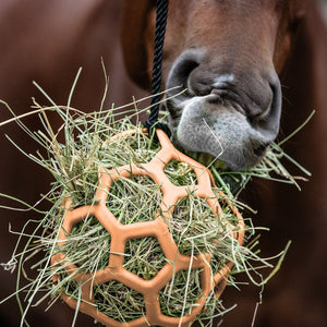 Waldhausen, hay ball