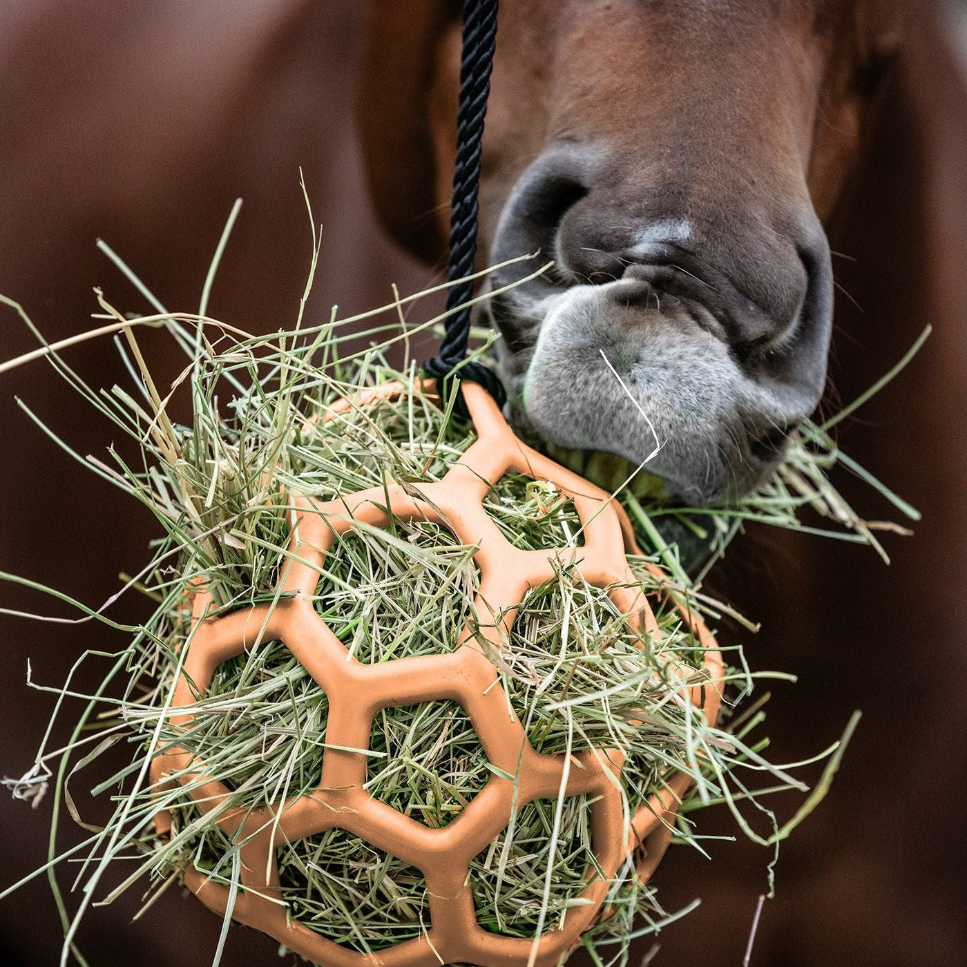 Waldhausen, hay ball
