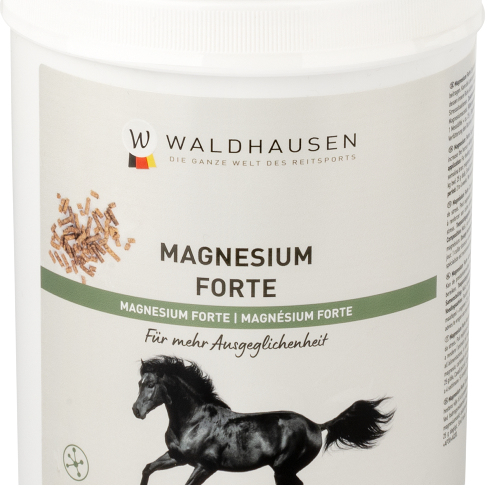 Waldhausen Magnesium Forte, 1kg
