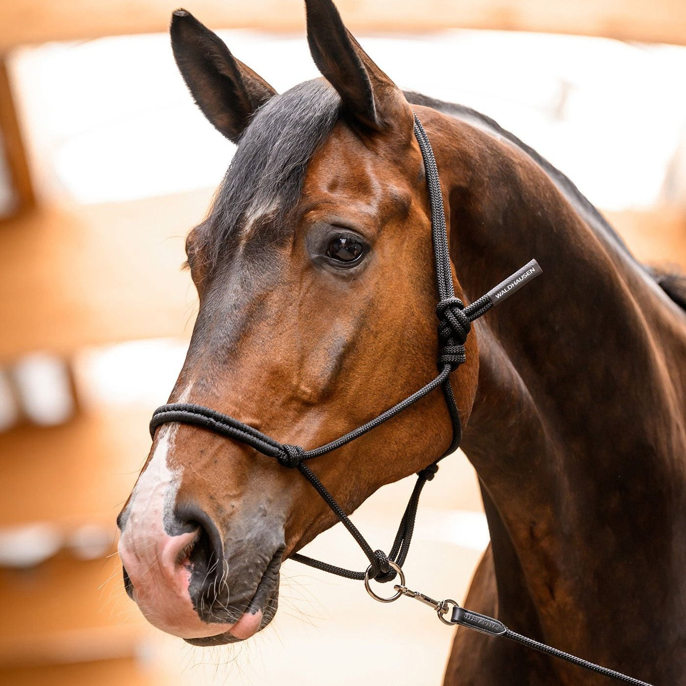 Waldhausen Knotted Headcollar with Moving Ring