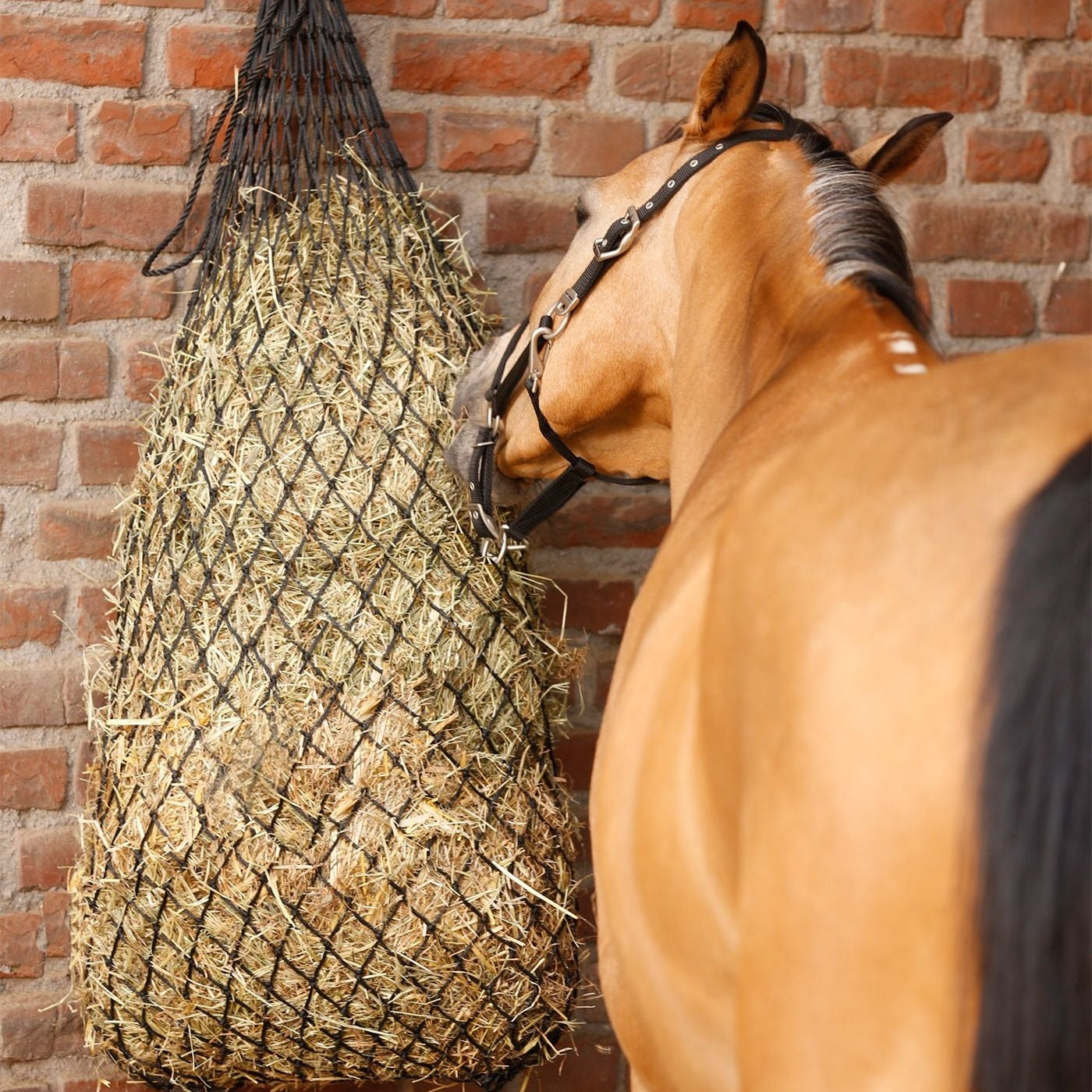Waldhausen Large Hay Net, dense weave, black