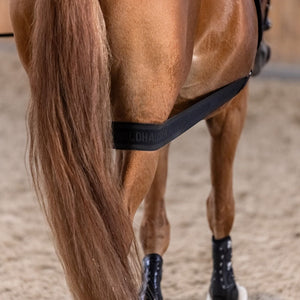 Waldhausen body bandázs a hátulsó rész aktiválására