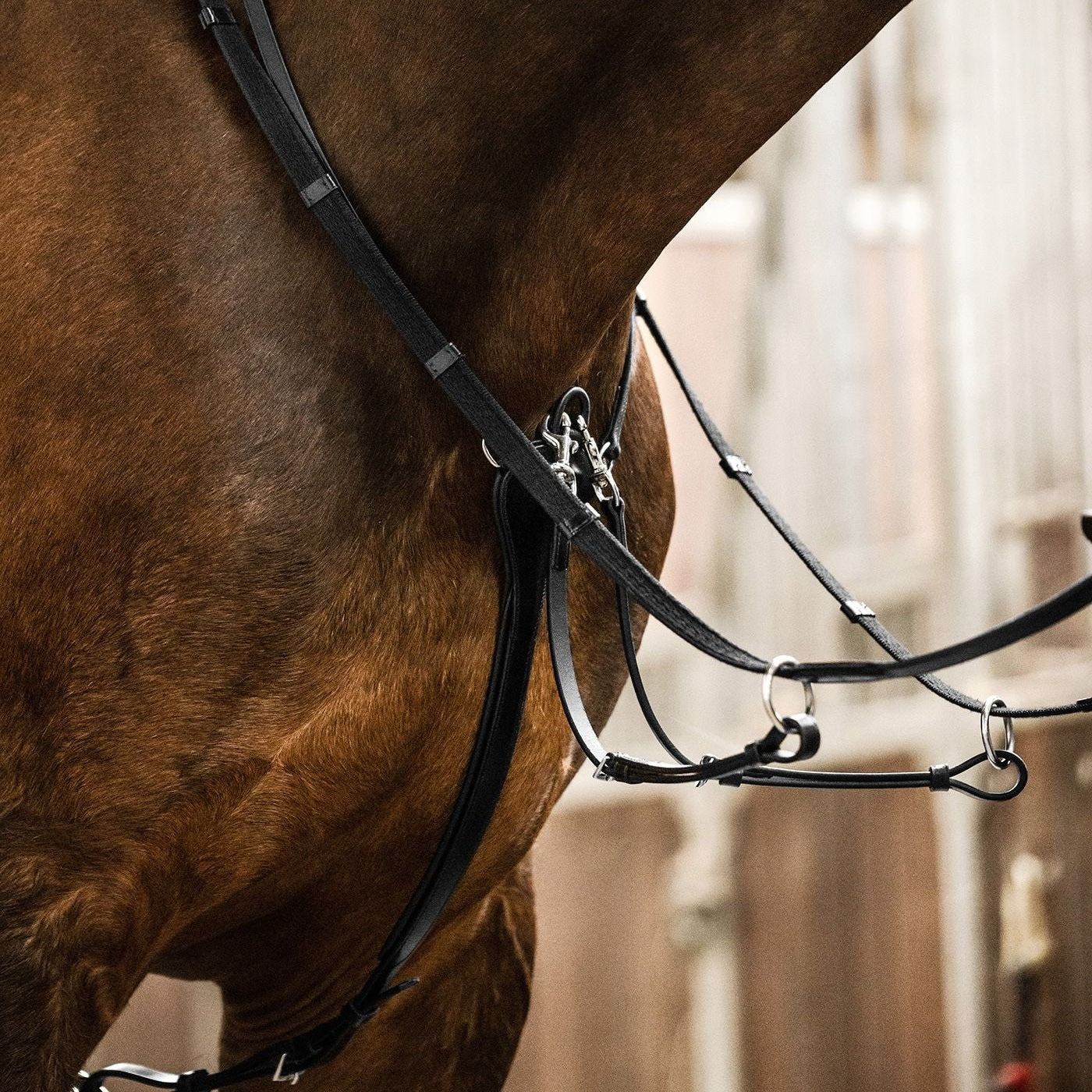 Waldhausen professional martingale, black