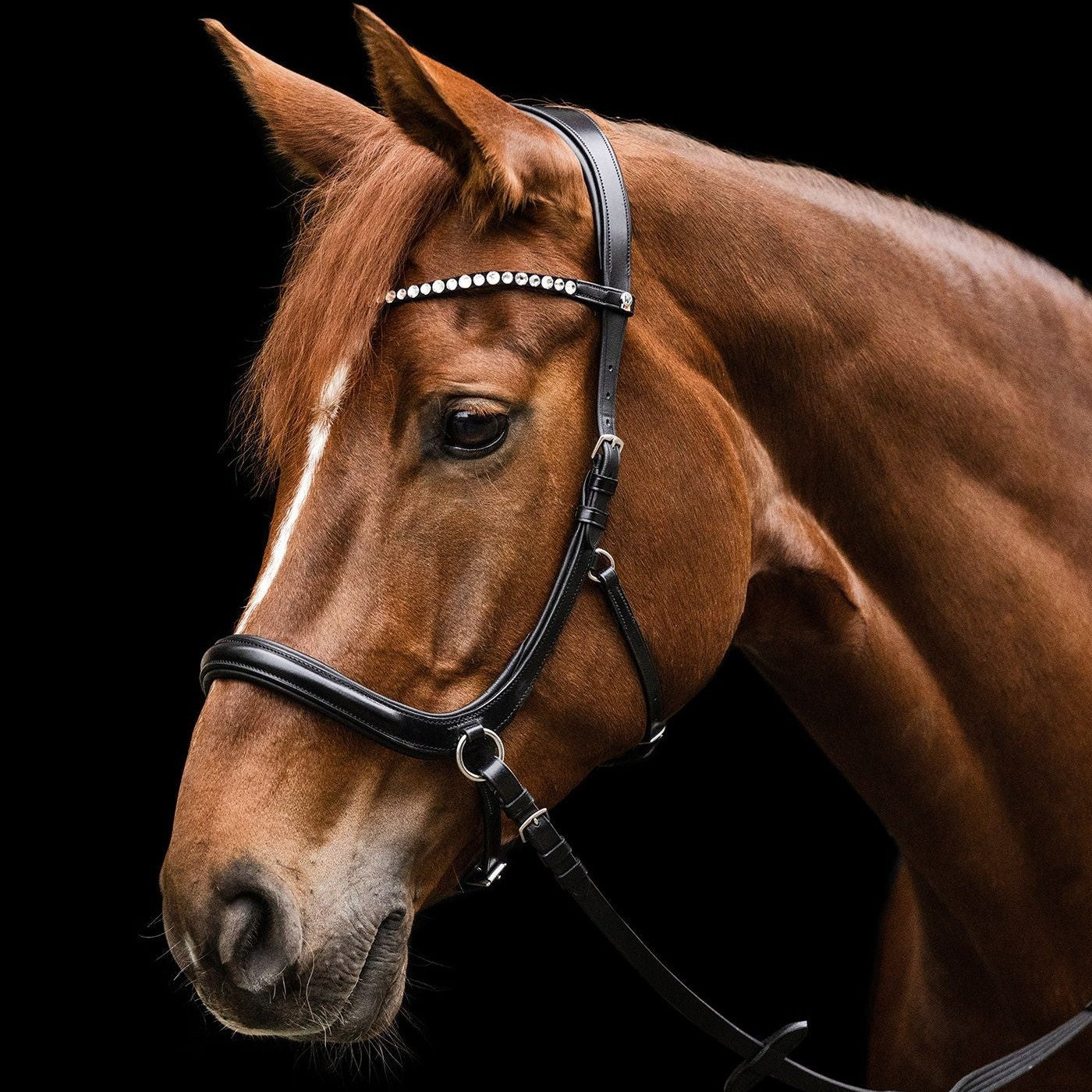 Waldhausen sensation zablanélküli kantár, fekete