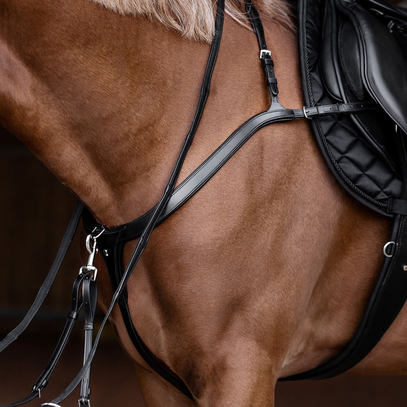 Waldhausen long bridge breastplate, brown