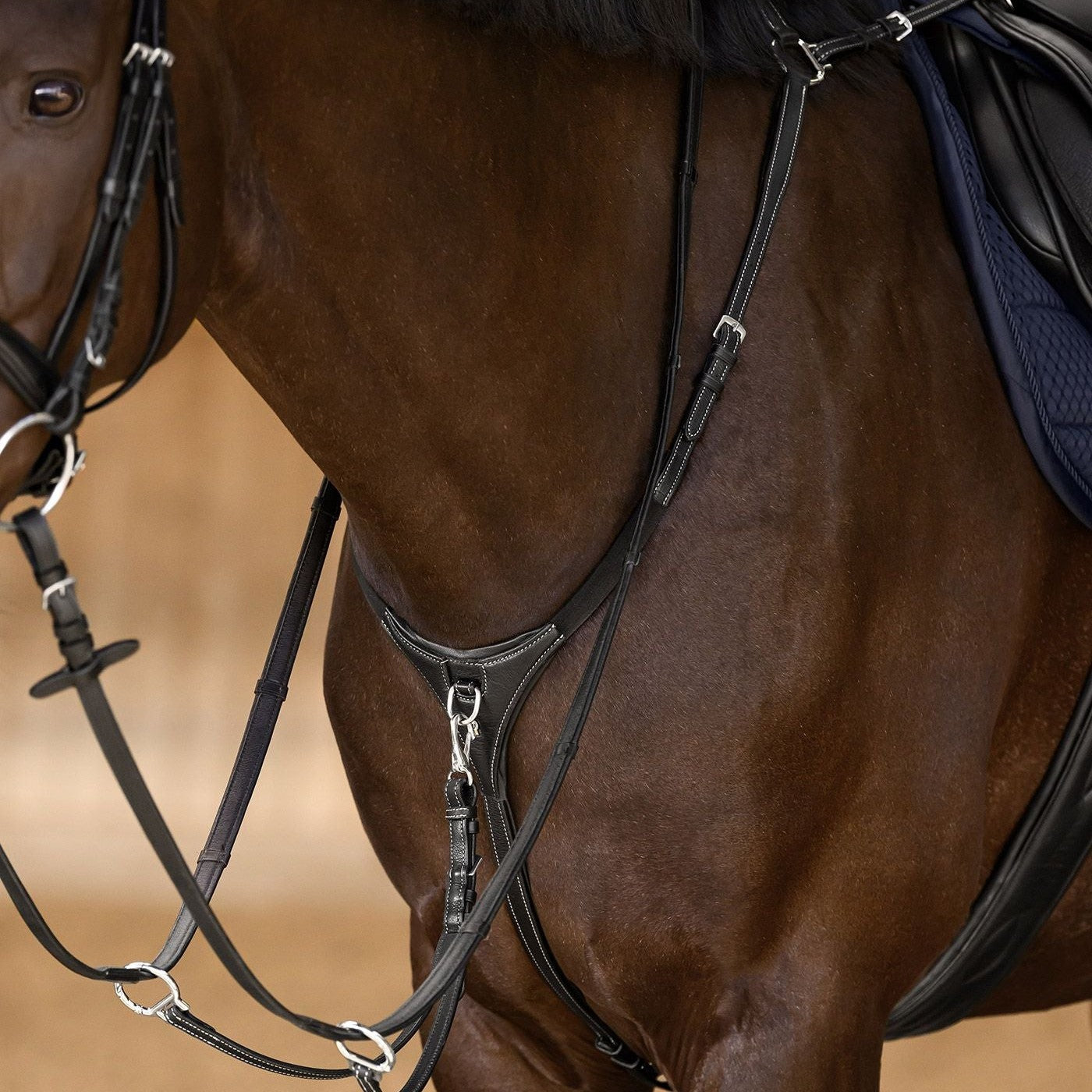 Waldhausen breastplate, black
