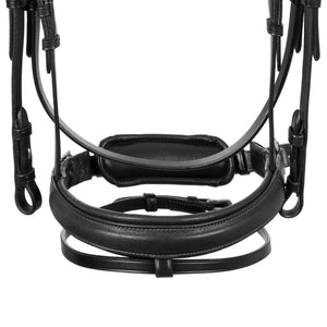 Acavallo Primavera Calfskin Bridle, black
