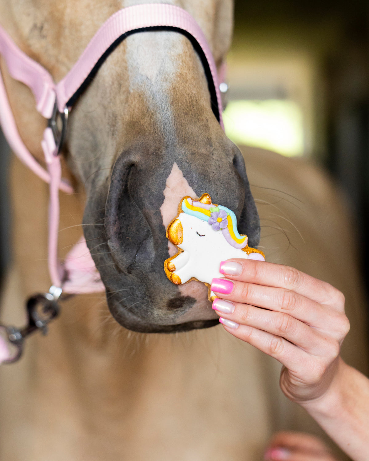 Candy Horse Rainbow World – Iced Cookie RAINBOW PONY, Limitált kiadású lócsemege