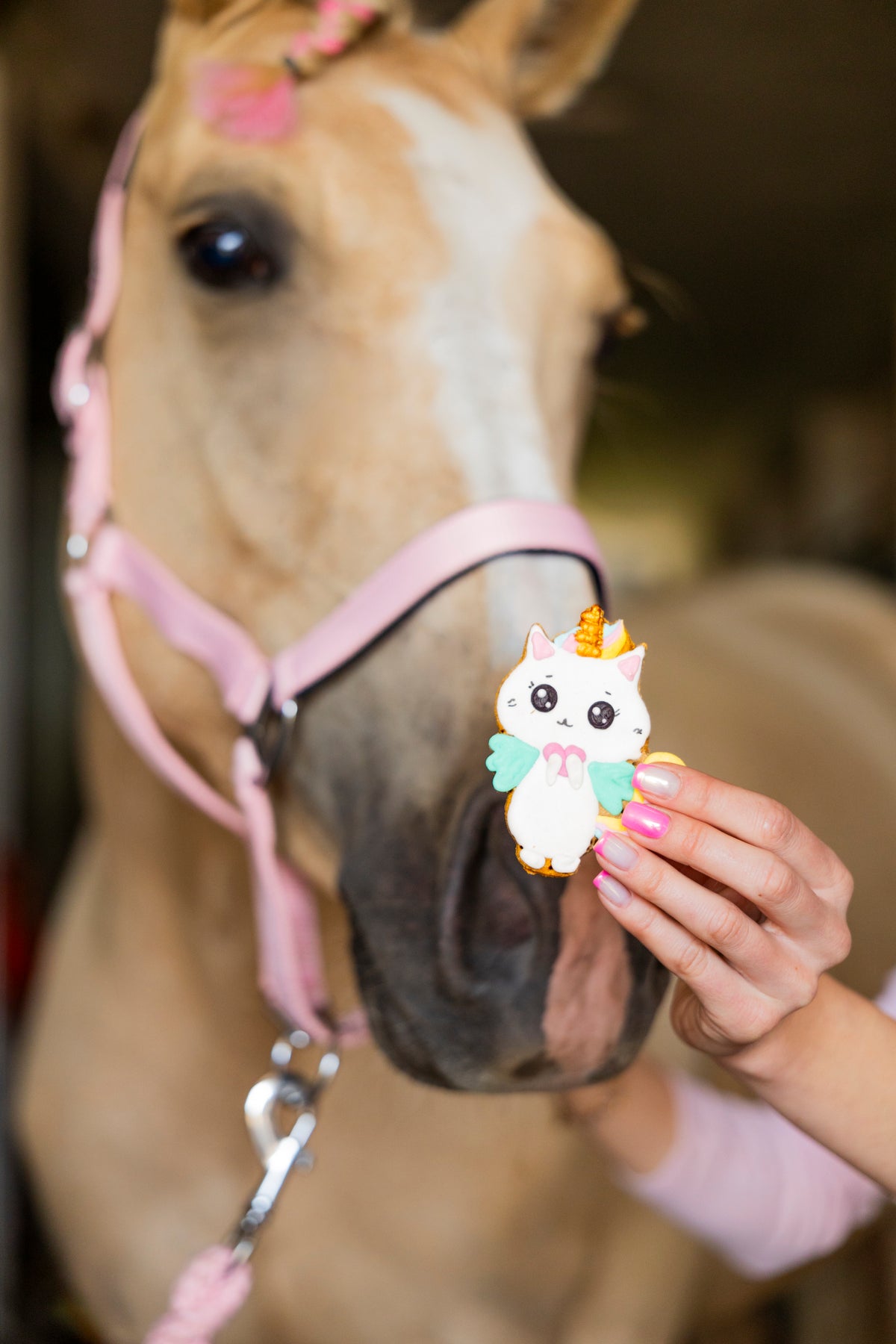Candy Horse Rainbow World – Iced Cookie RAINBOW KITTY, Limitált kiadású lócsemege