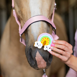 Candy Horse Rainbow World – Iced Cookie RAINBOW, Limitált kiadású lócsemege