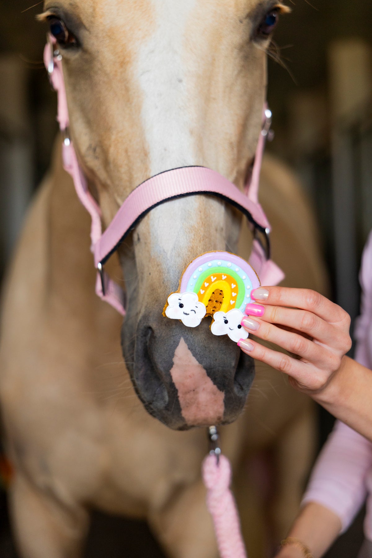 Candy Horse Rainbow World – Iced Cookie RAINBOW, Limitált kiadású lócsemege