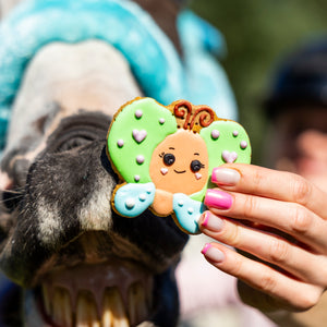 Rainbow World – Iced Cookie BUTTERFLY Limitált kiadású lócsemege