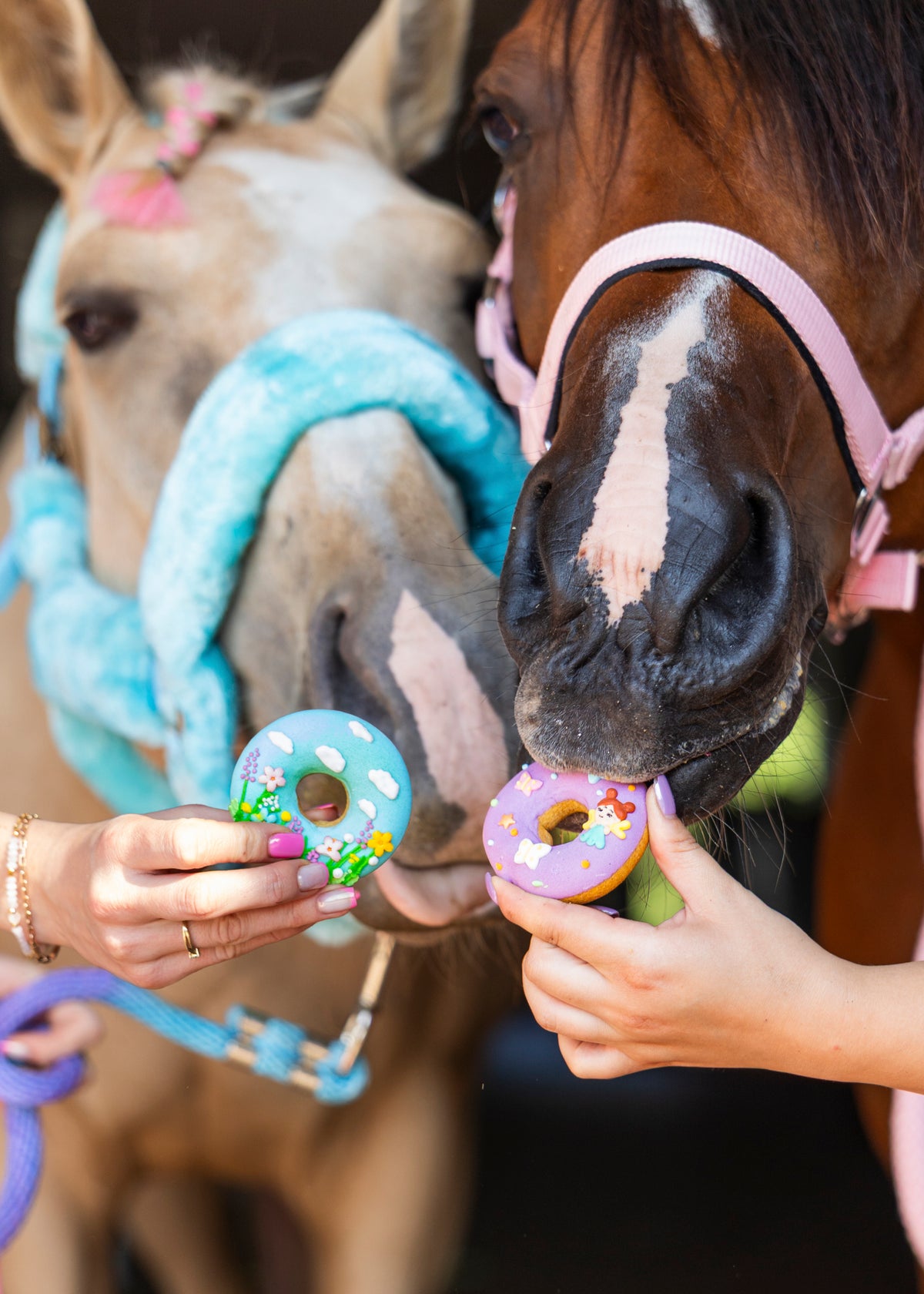 Rainbow World – Iced Donuts Limitált kiadású lócsemege fánkok, 2 db-os szett
