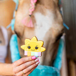 Candy Horse Rainbow World – Iced Cookie SUNSHINE, Limitált kiadású lócsemege