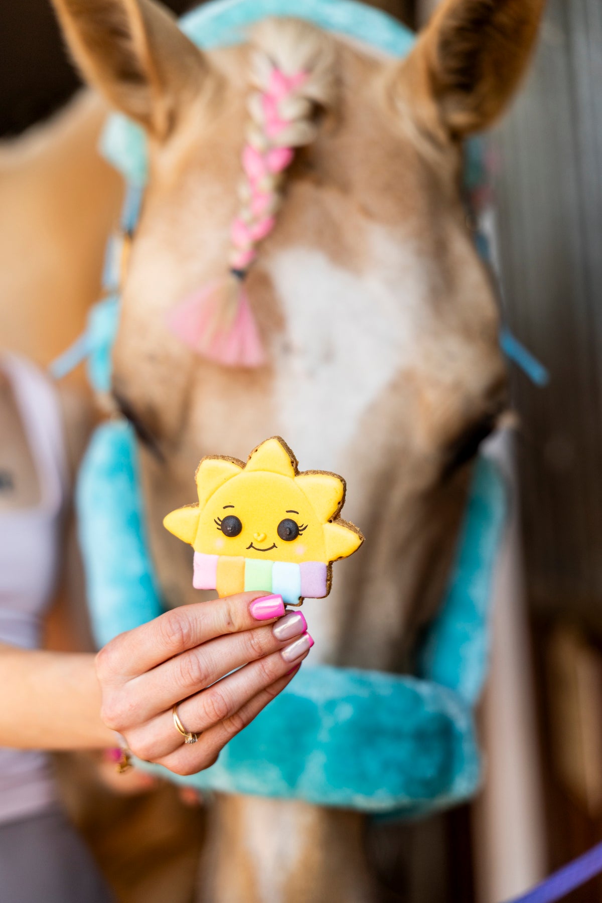 Candy Horse Rainbow World – Iced Cookie SUNSHINE, Limitált kiadású lócsemege