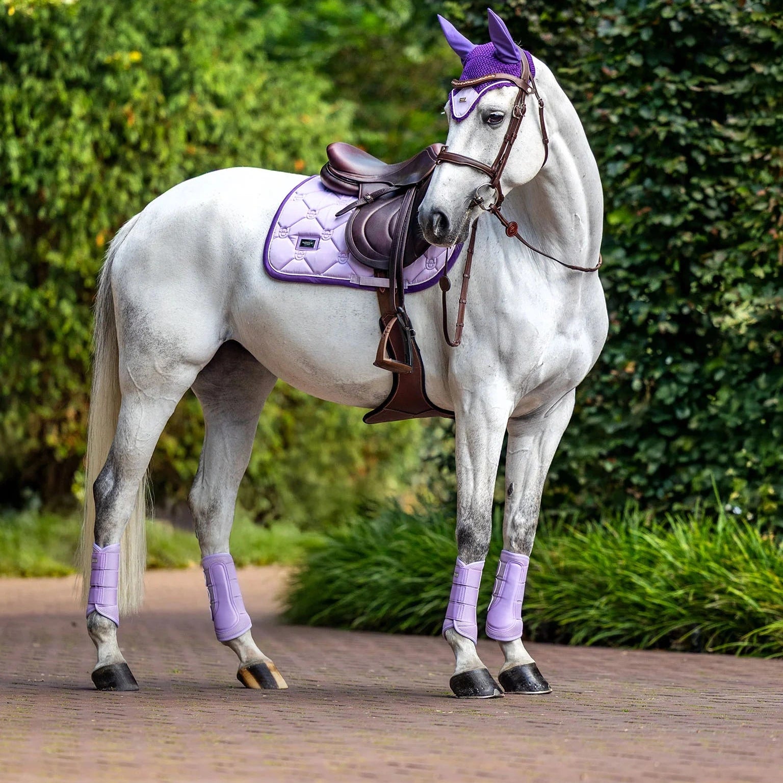 Equestrian Stockholm jumping saddle pad, lavender pearl