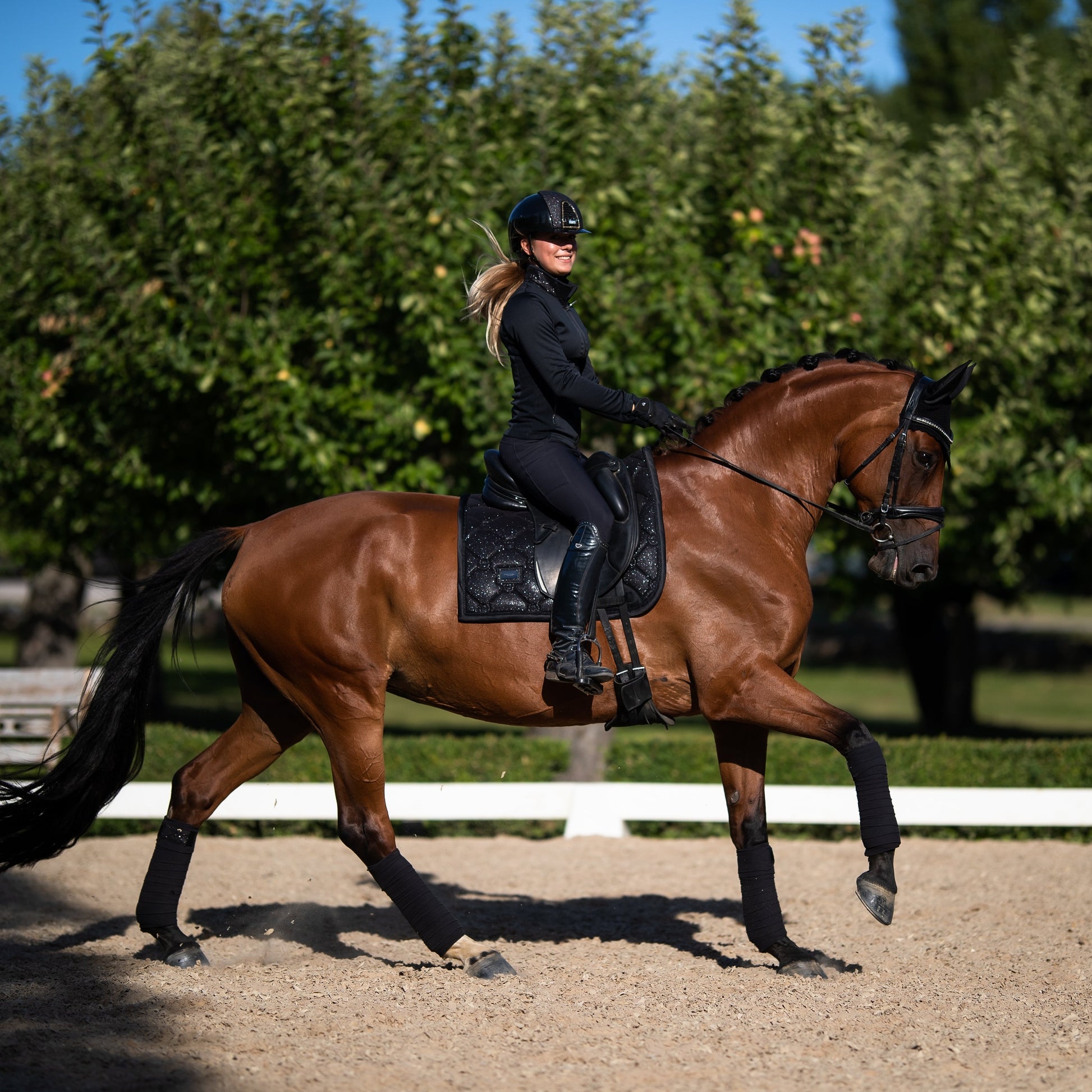 Equestrian Stockholm All Black Glimmer