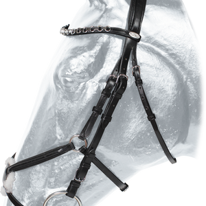 Centaur Monterrey Headstall