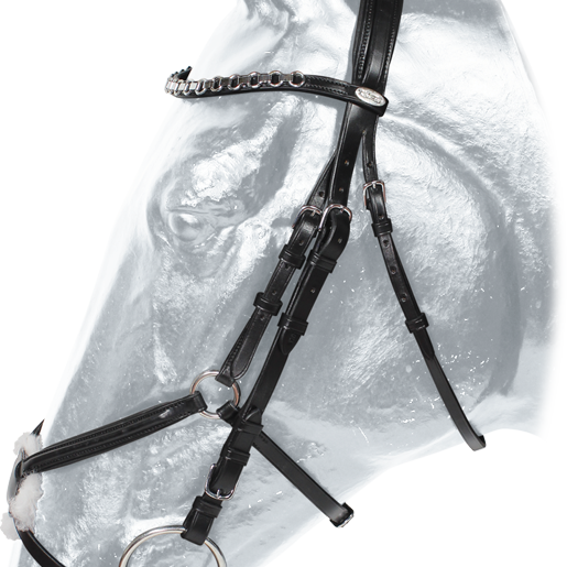 Centaur Monterrey Headstall