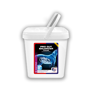 Equine America PRO GUT BALANCER A PROBIUTIKUM, 400g