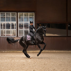 Equestrian Stockholm Purple Glimmer