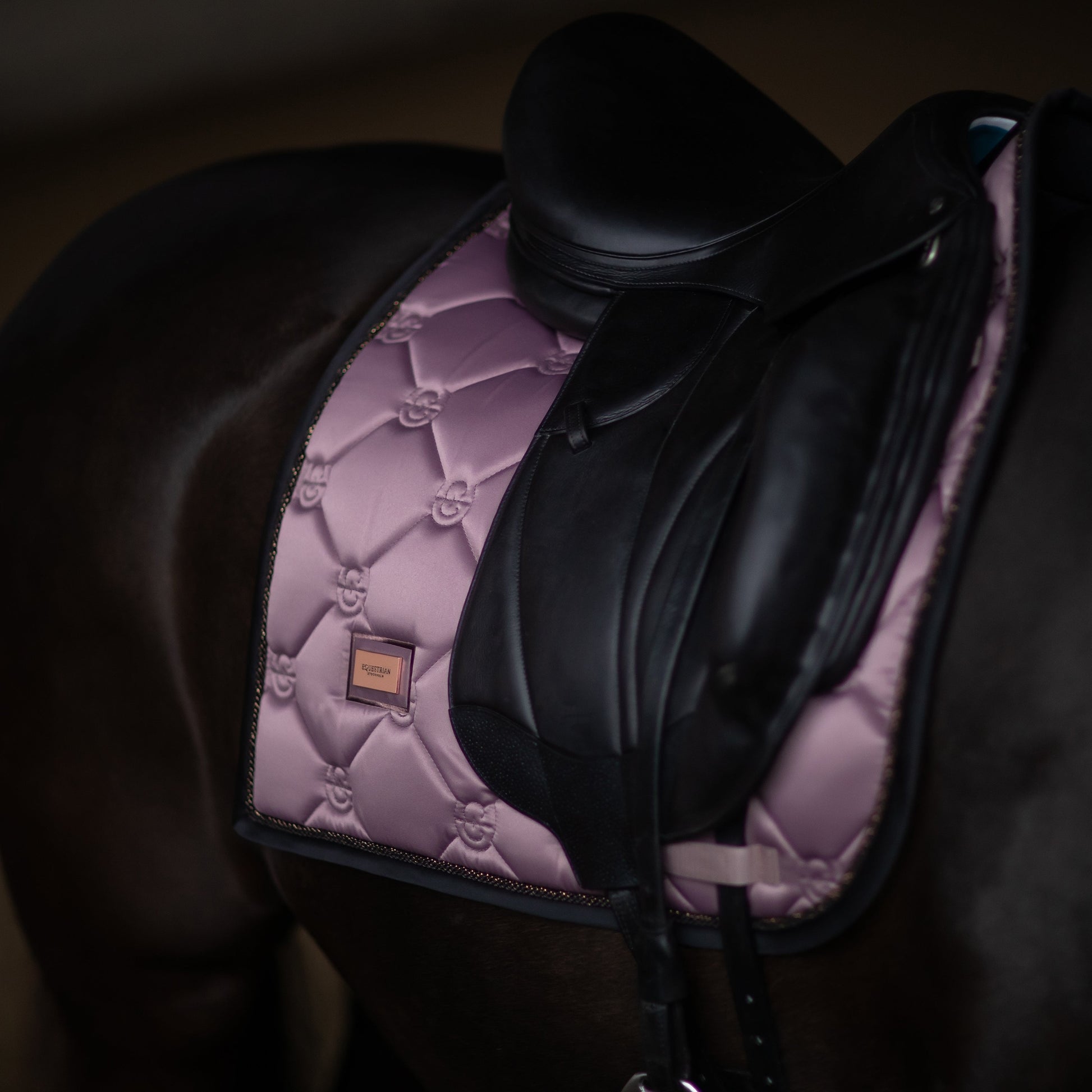 Equestrian Stockholm Anemone