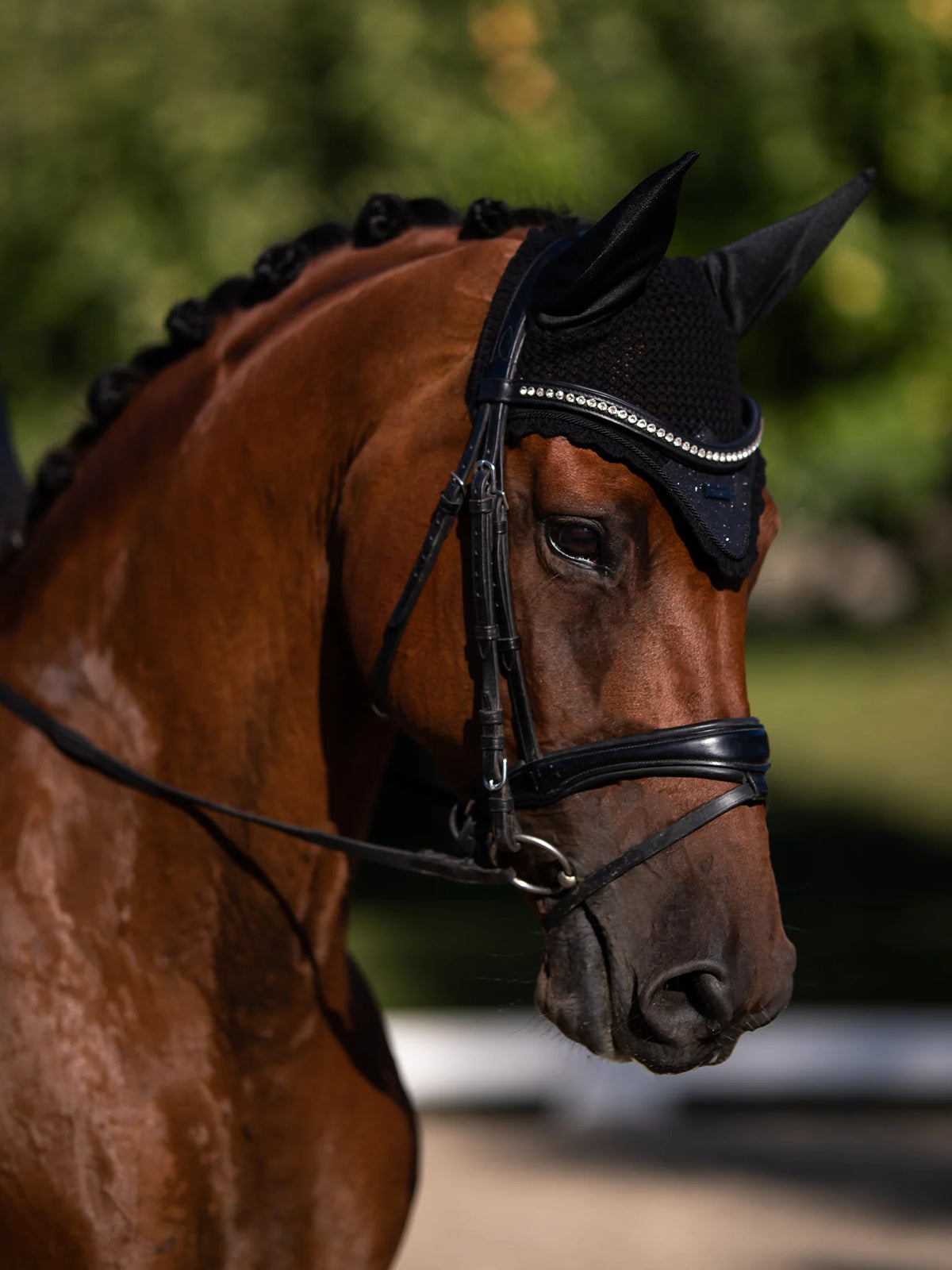 Equestrian Stockholm fülvédő, black glimmer