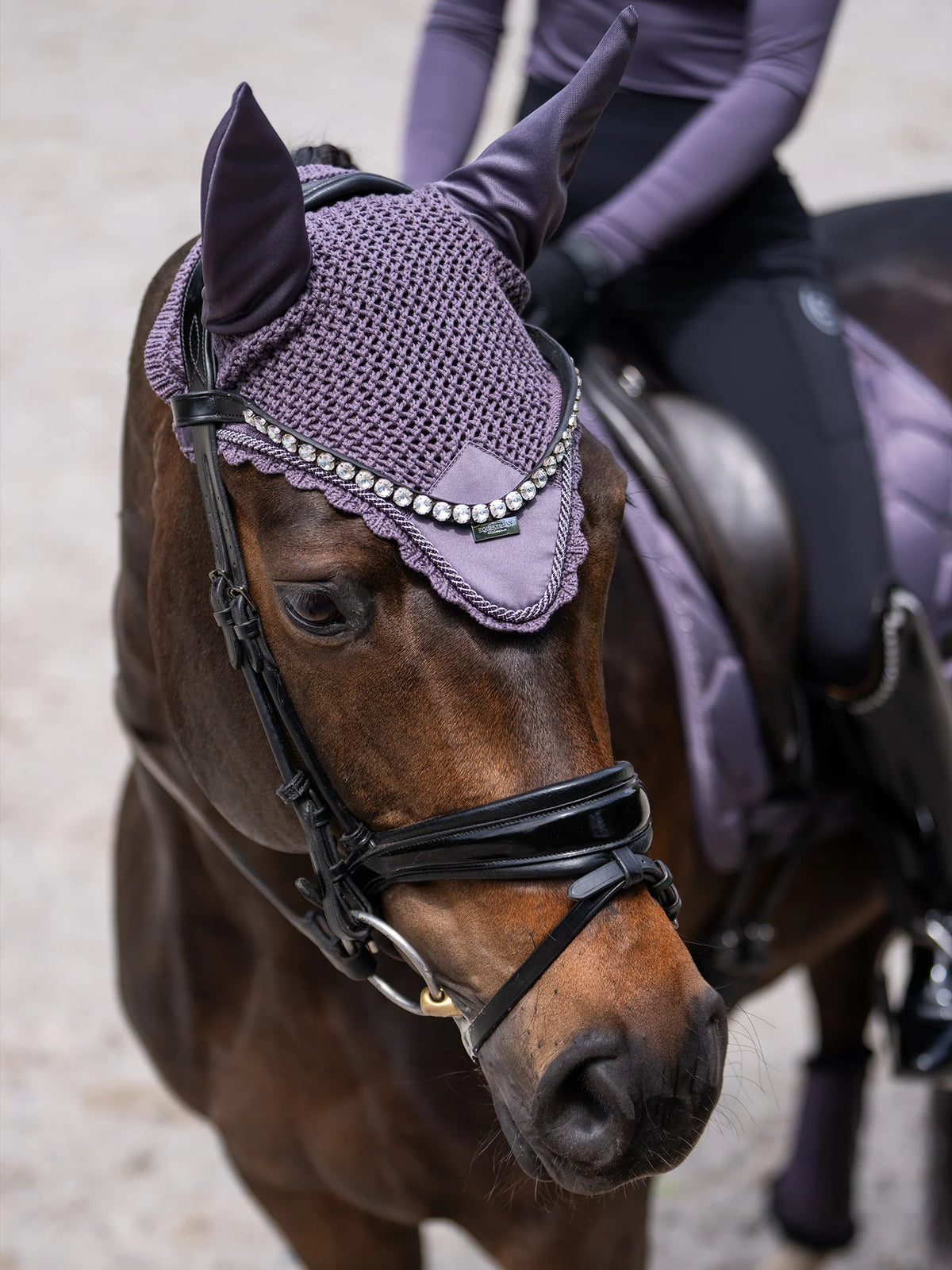 Equestrian Stockholm fülvédő, dark violet